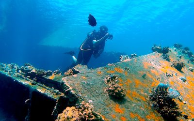 Diving in Carriacou: Reefs, Wrecks, and the Island of Reefs